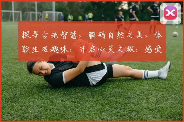 探寻古老智慧，解码自然之美，体验生活趣味，开启心灵之旅，感受文化魅力。