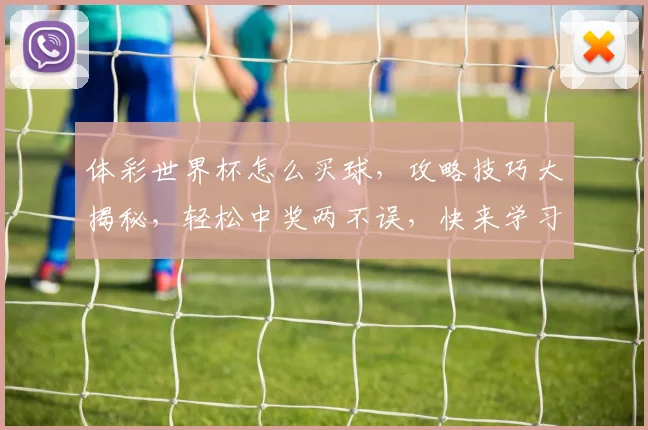 体彩世界杯怎么买球，攻略技巧大揭秘，轻松中奖两不误，快来学习