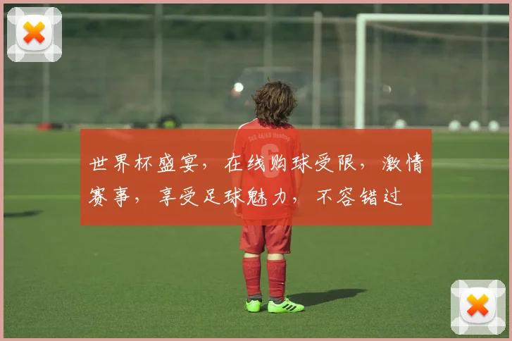世界杯盛宴，在线购球受限，激情赛事，享受足球魅力，不容错过