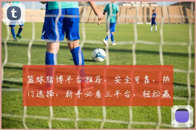 篮球赌博平台推荐，安全可靠，热门选择，新手必看三平台，轻松赢球