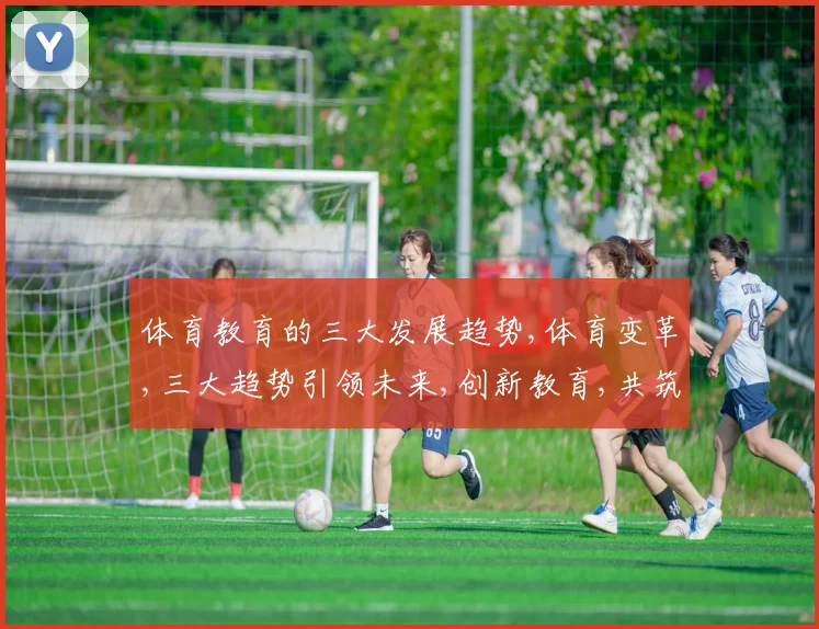 体育教育的三大发展趋势,体育变革,三大趋势引领未来,创新教育,共筑强国基石