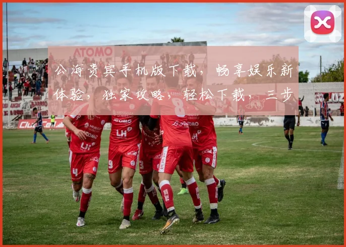 公海贵宾手机版下载，畅享娱乐新体验，独家攻略，轻松下载，三步到位，快来体验