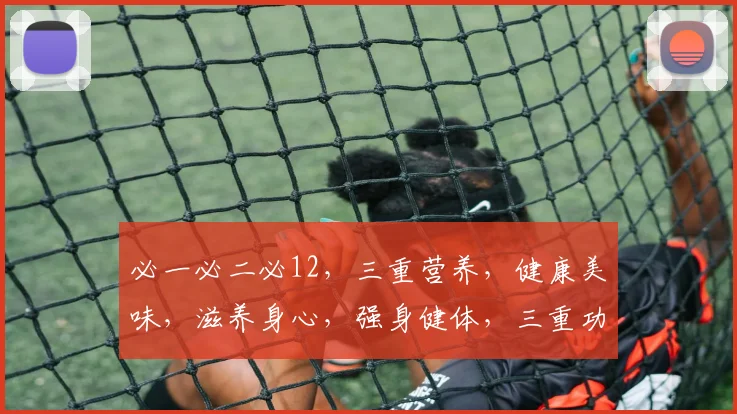必一必二必12，三重营养，健康美味，滋养身心，强身健体，三重功效，一网打尽